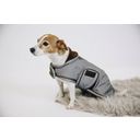 Kentucky Dogwear Water-Repellent Dog Jacket - Silver