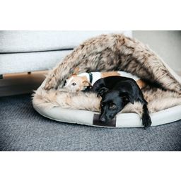Kentucky Dogwear Dog Bed 