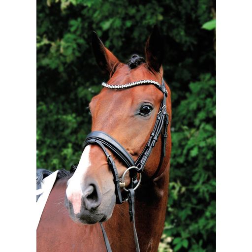 Magic Tack Bridle w Removable Flash System