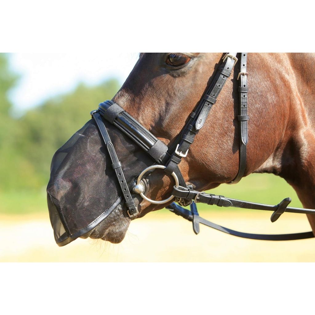 BUSSE FLY PROTECTOR - Nose Protection - EquusVitalis Onlineshop
