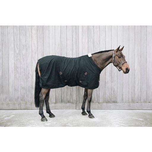 Kentucky Horsewear Cotton Sheet Black