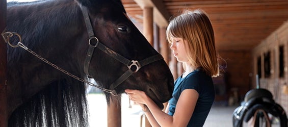 Bambini e cavalli: cosa c'è da sapere