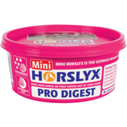 DERBY Horslyx Pro Digest - 650 g
