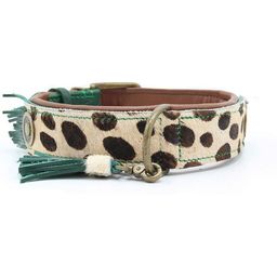 Ivy Dog Collar - 4cm