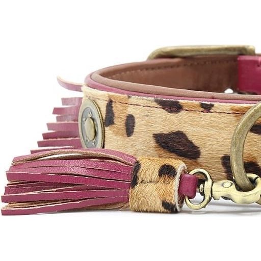 Dog with a Mission Lou Lou Collar - 4cm