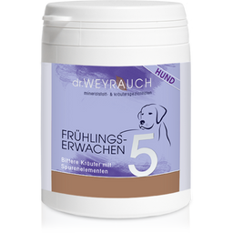 Dr. Weyrauch Nr. 5 Spring Awakening - för hundar