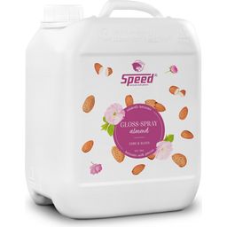 SPEED Gloss-Spray ALMOND - 2.500 ml