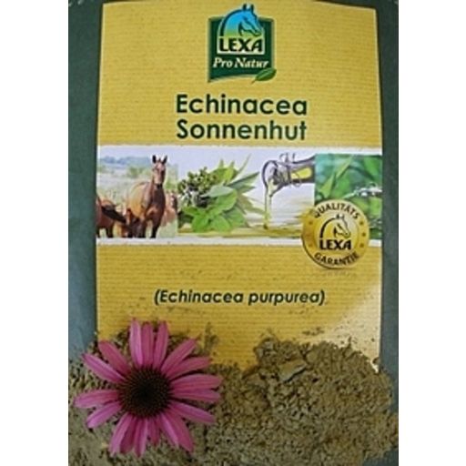 Lexa Echinacea