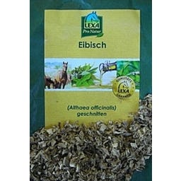 Lexa Eibisch