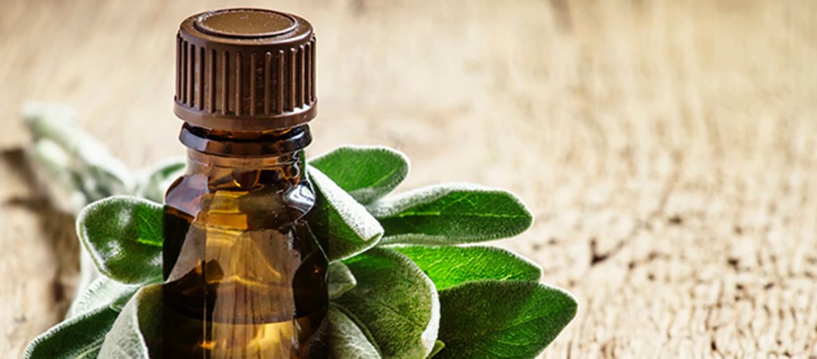 Ganzheitliche Aromatherapie für Pferde - eine Einführung