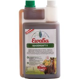 Ewalia Gastro Care Liquid II