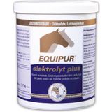 Equipur Electrolyte Plus