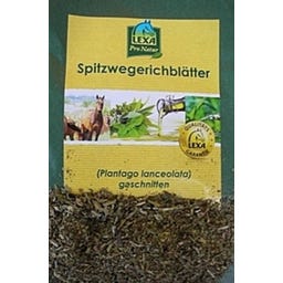 Lexa Spitzwegerich