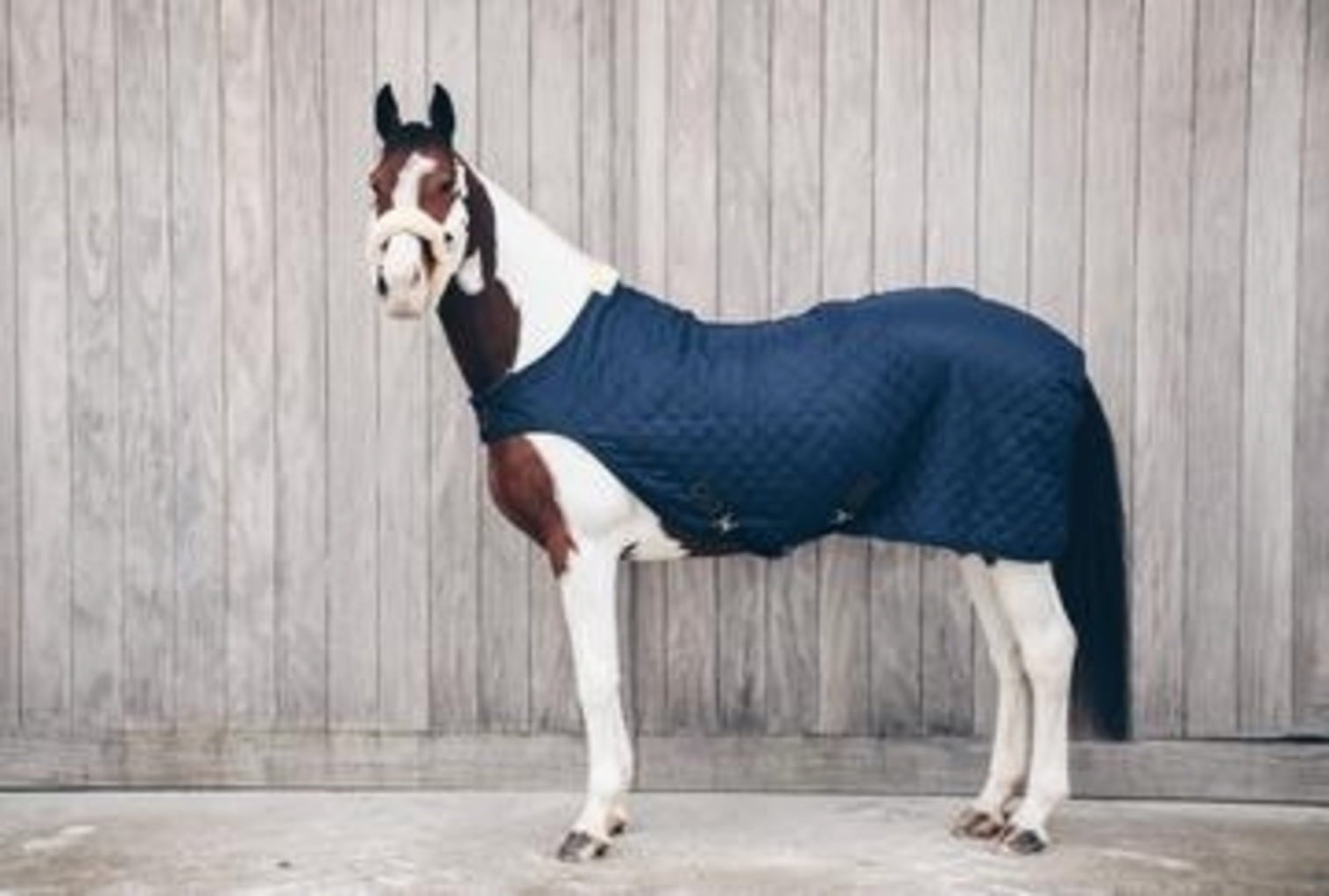 Kentucky Horsewear Walker Rug 160 g Marine