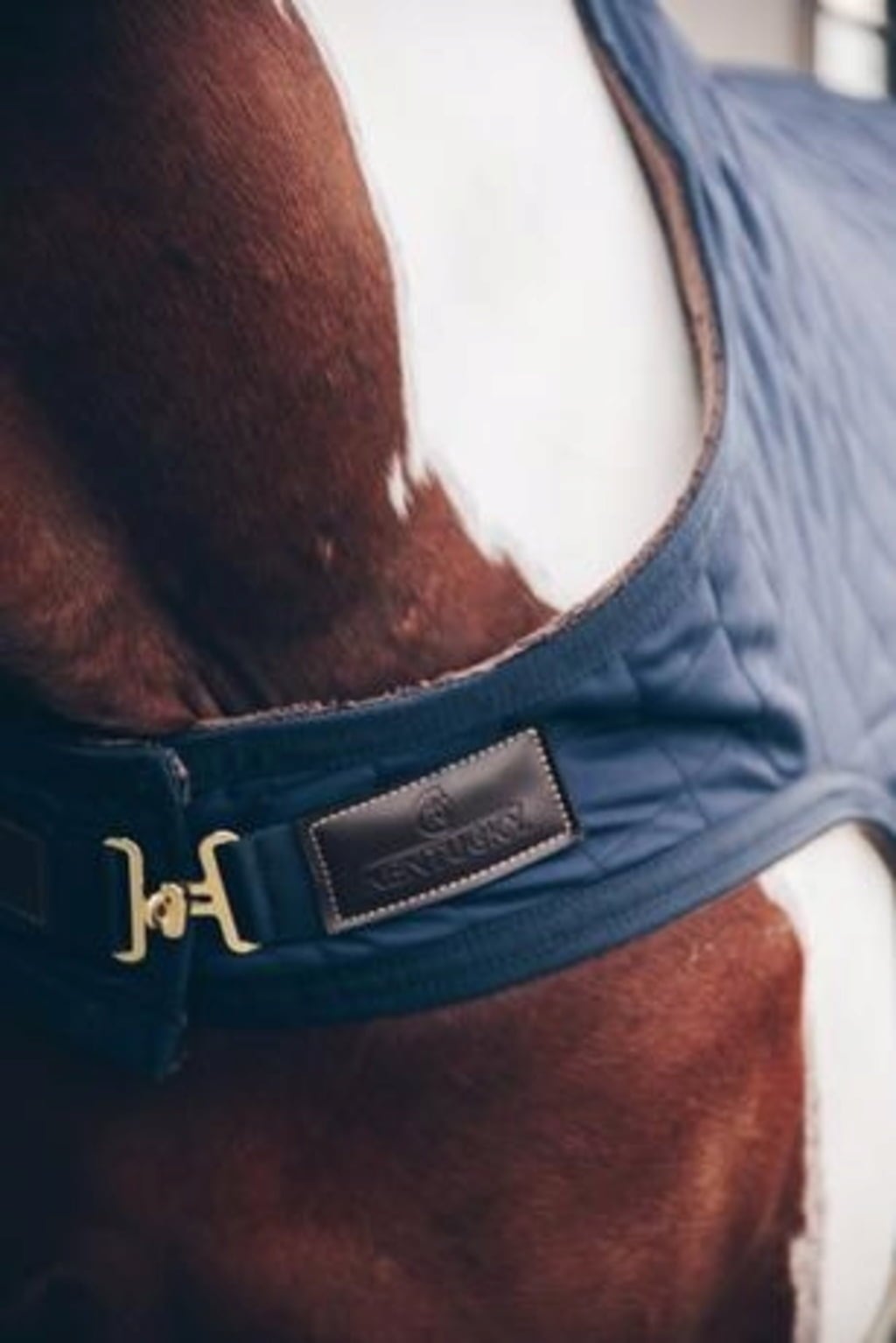 Kentucky Horsewear Walker Rug 160 g Marine