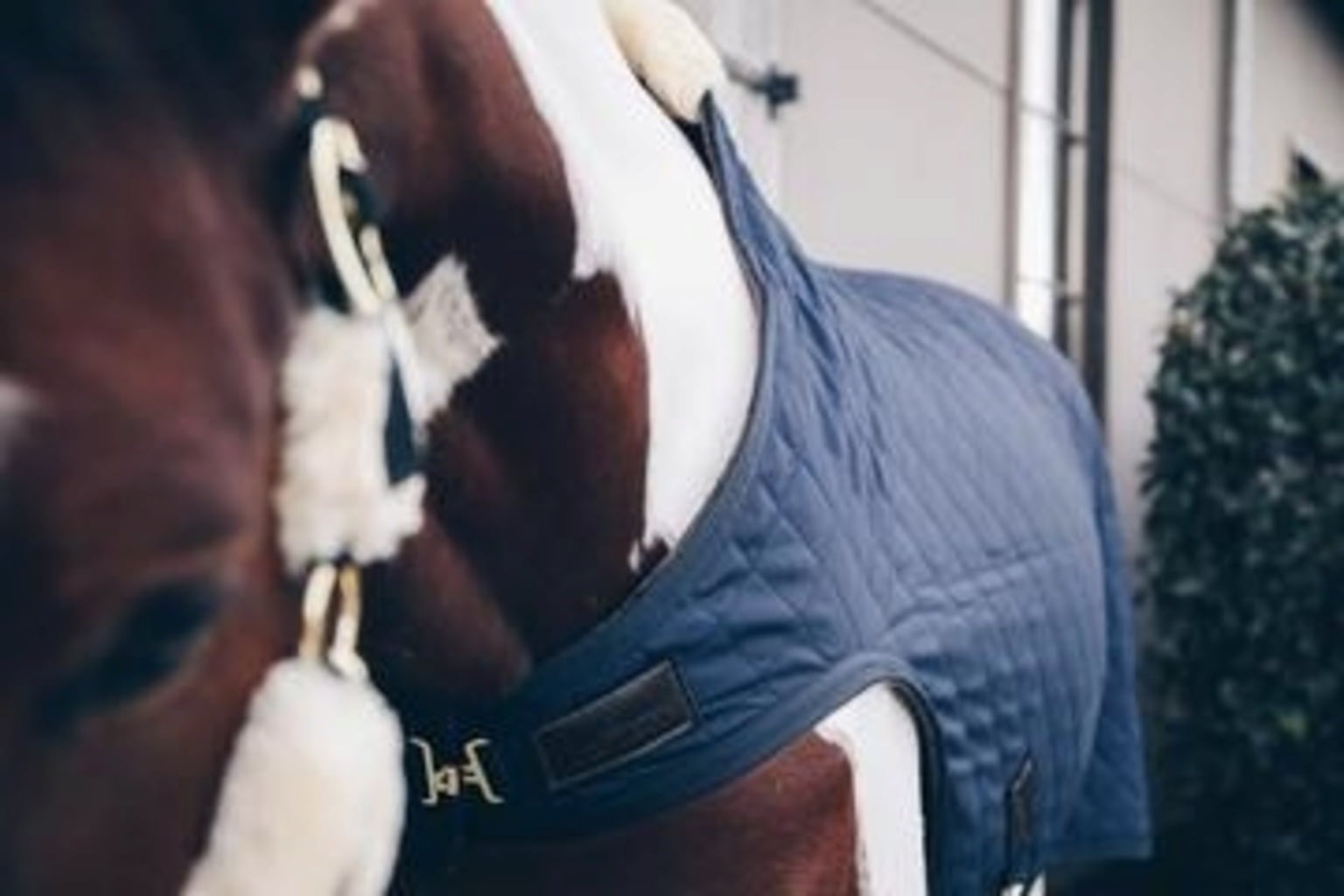 Kentucky Horsewear Walker Rug 160 g Marine
