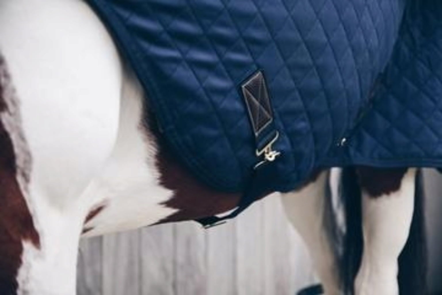 Kentucky Horsewear Walker Rug 160 g Marine