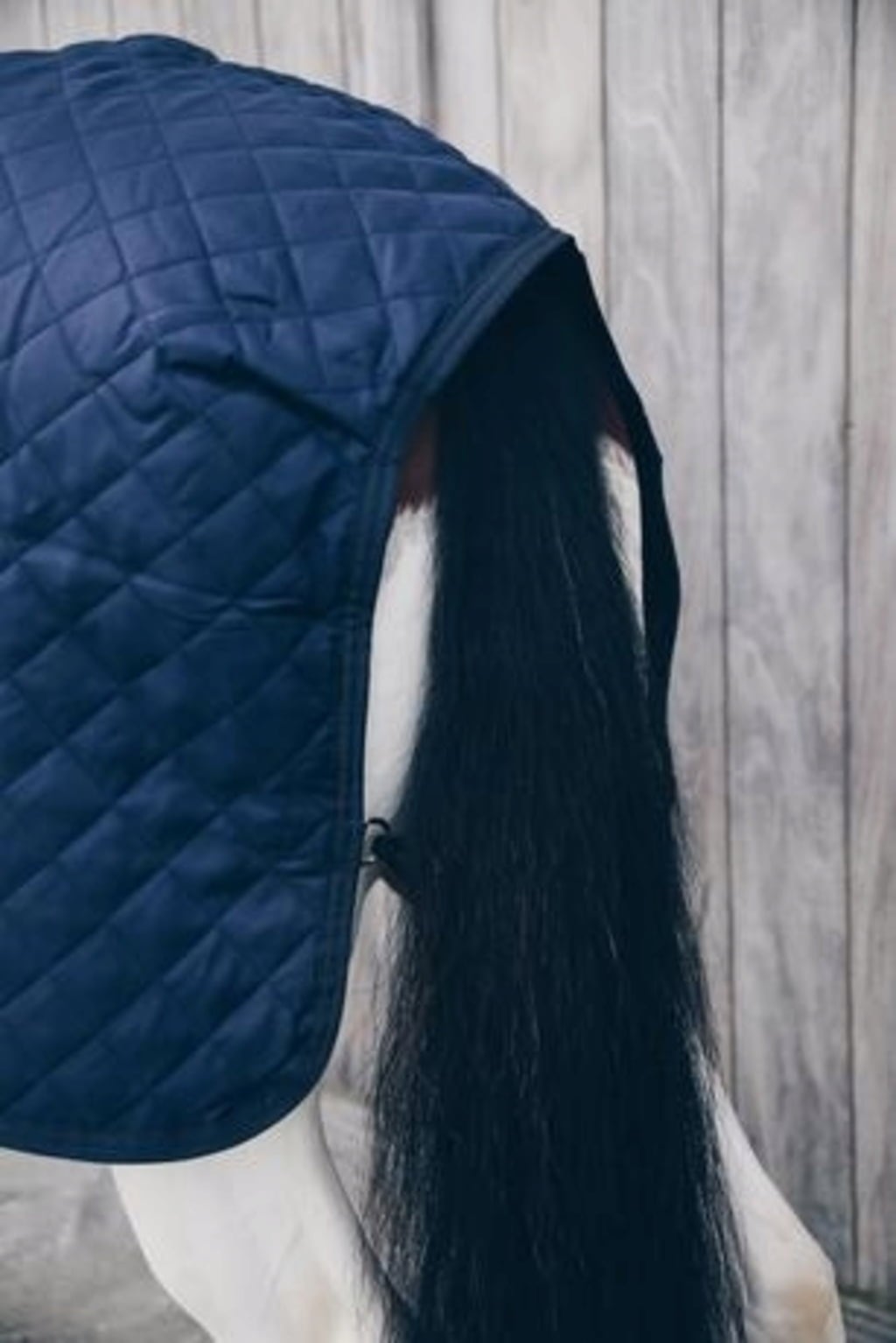 Kentucky Horsewear Walker Rug 160 g Marine