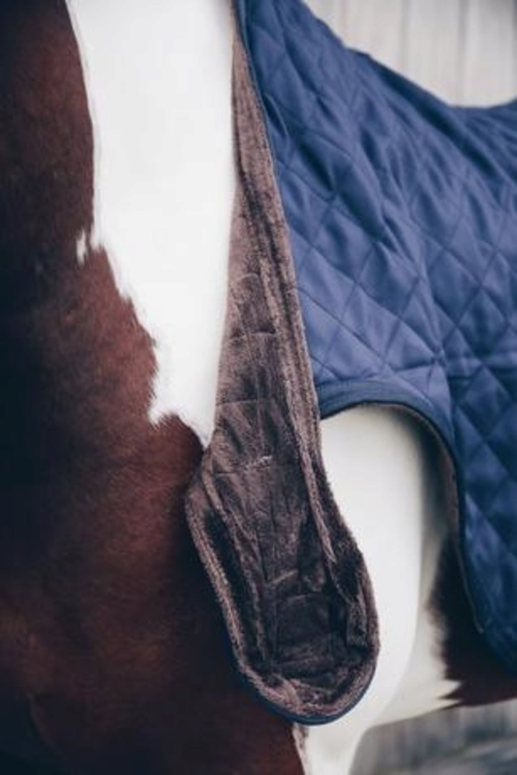 Kentucky Horsewear Walker Rug 160 g Marine