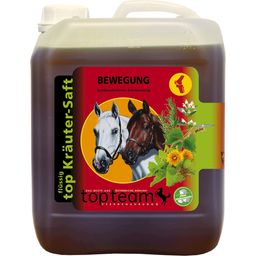topteam top - Jus aux Herbes pour l'Exercice