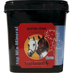 topteam Top Biotine + Zinc