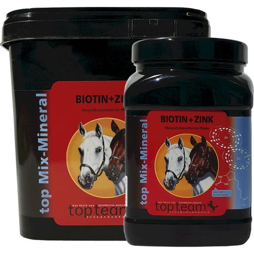 Topteam Top Biotin + Zinc - 1 kg