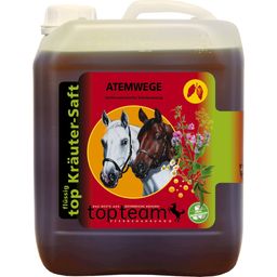 Topteam Top Respiratory Herbal Juice - 2,50 l