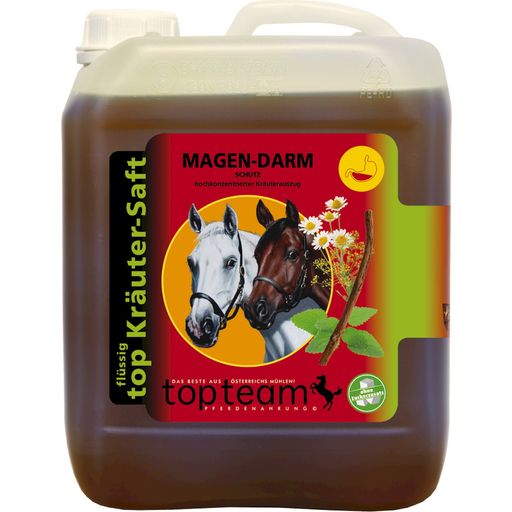 Top Gastrointestinal Protection Herbal Juice - 2,50 l