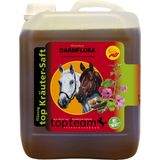 Topteam Top Intestinal Flora Herbal Juice