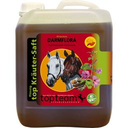 Topteam Top Intestinal Flora Herbal Juice - 2,50 l