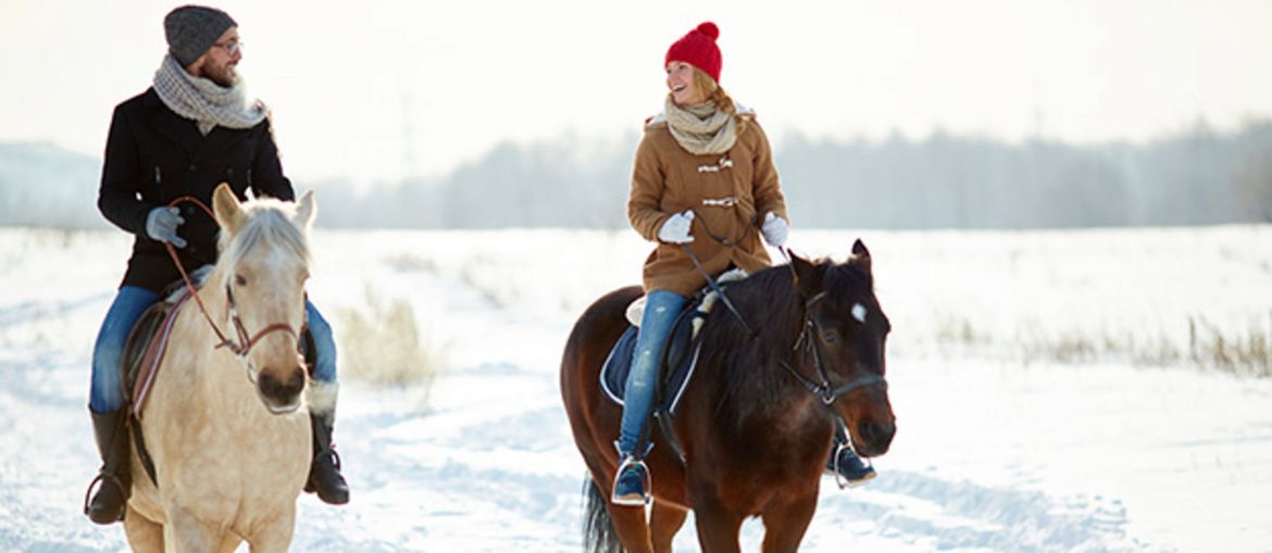 Tipps fürs Winterreiten