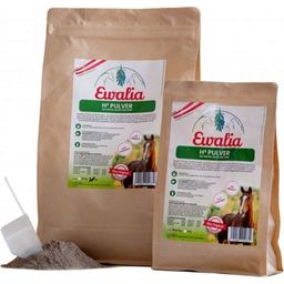 Ewalia H³ Pulver - mit Biotin, Selen und Zink - 3 kg