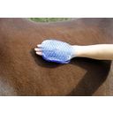 Kerbl Magnetic Massage Curry Comb - Blu