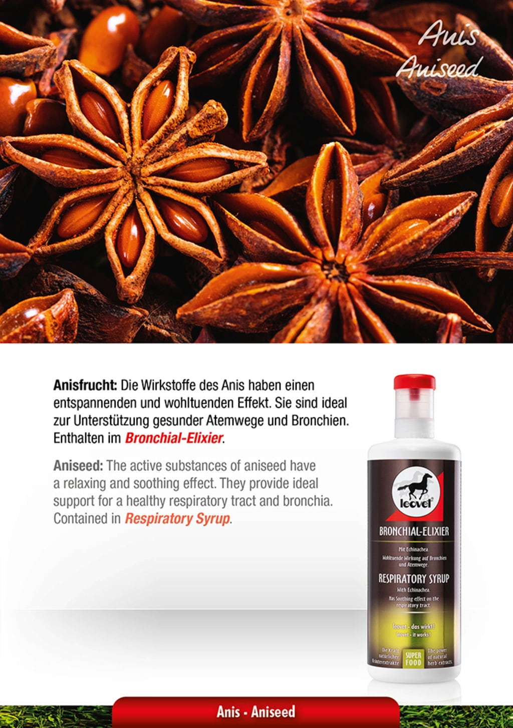 leovet Bronchial-Elixier - 1.000 ml