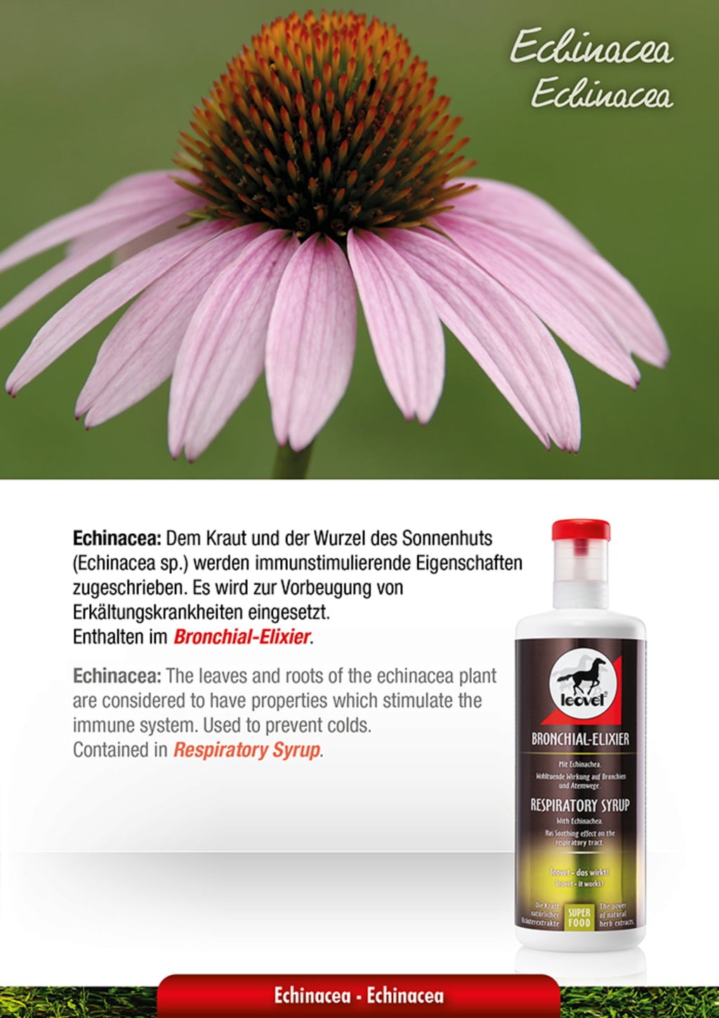 leovet Bronchial-Elixier - 1.000 ml