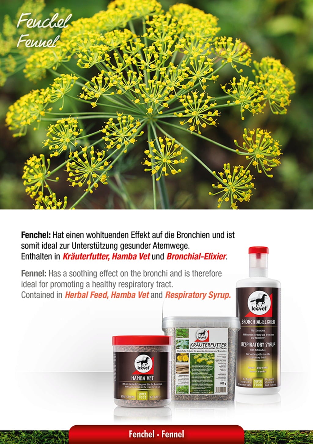 leovet Bronchial-Elixier - 1.000 ml