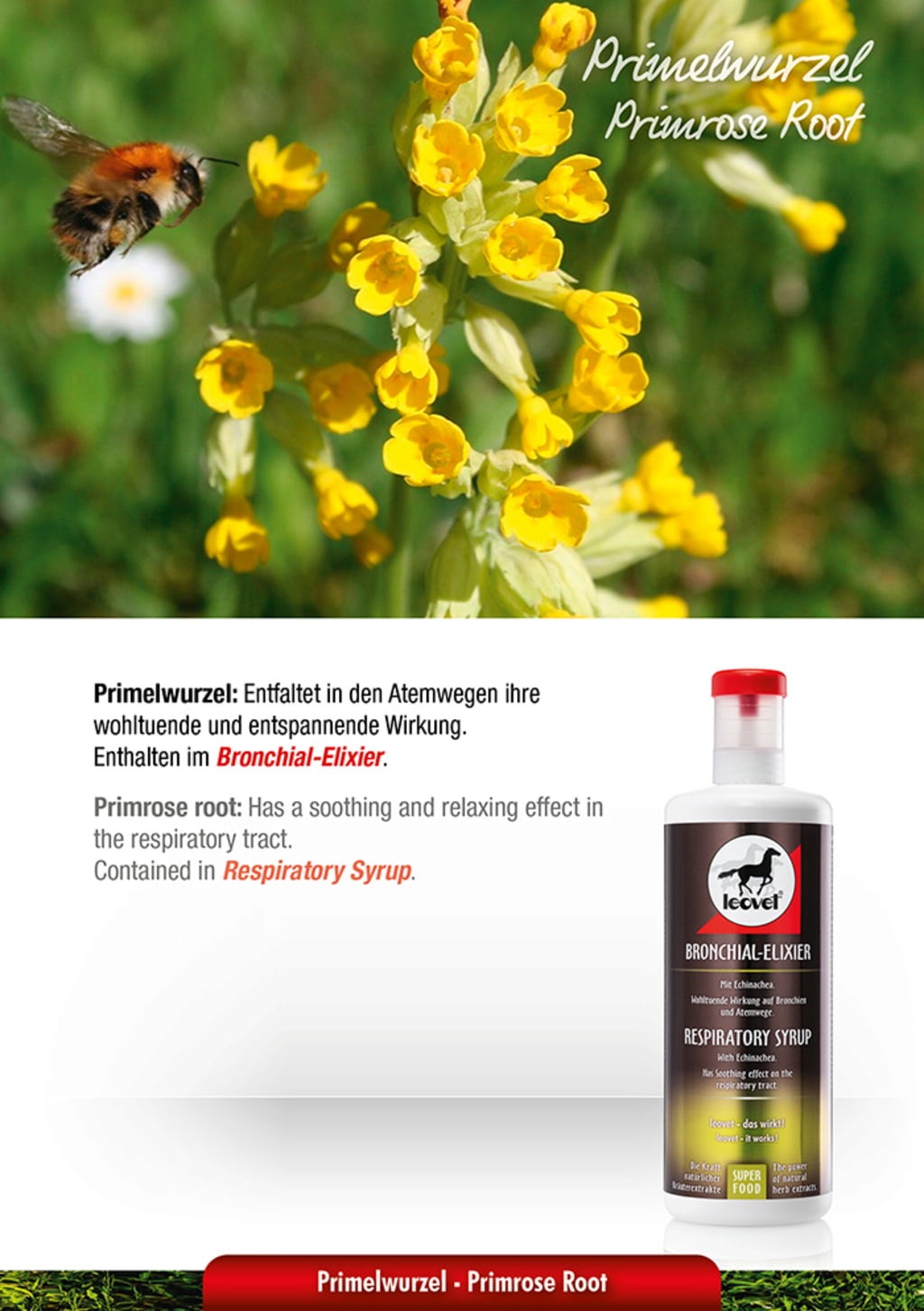 leovet Bronchial-Elixier - 1.000 ml