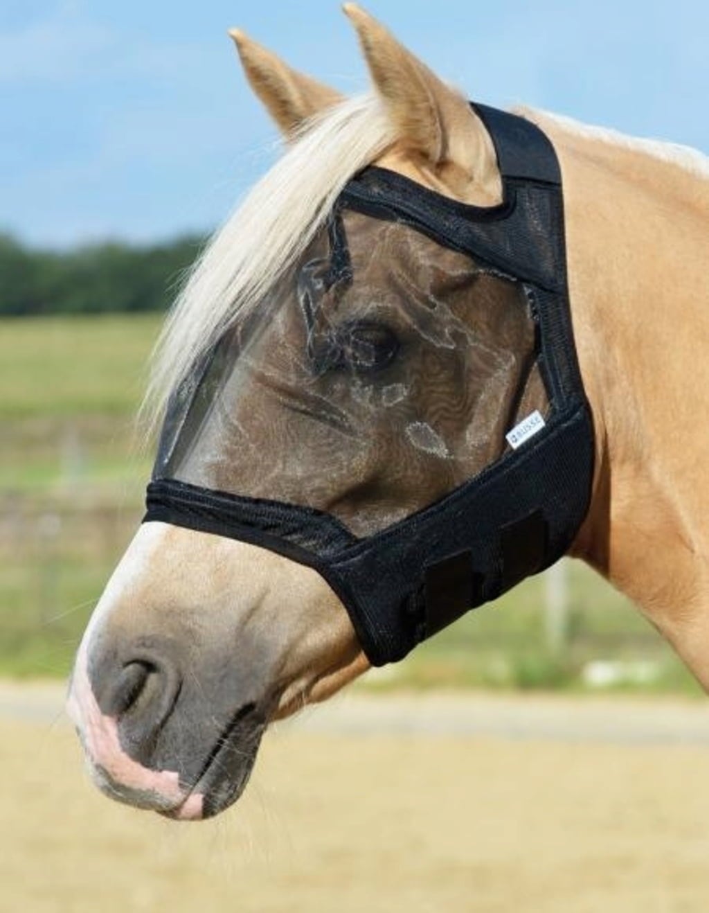 BUSSE Fly Mask FLY GUARD Black