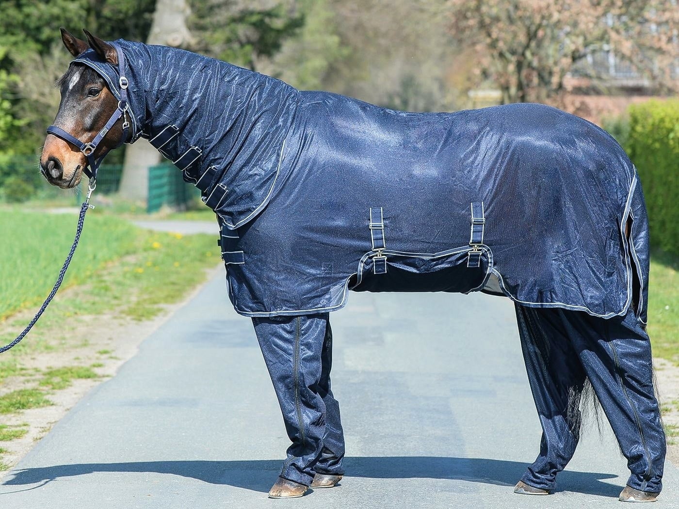 BUSSE Fly Sheet COMPLETE PLUS Navy (Gray)