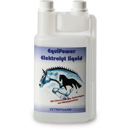 EquiPower Electrolyte Liquid