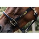 Kentucky Horsewear Licol Cuir 