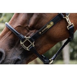 Kentucky Horsewear Licol Cuir 