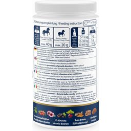 VITAMIN Booster - Лечебни гъби и премиум билков прах за кучета и коне - 500 г