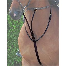 Dy'on Running Martingale, Brown