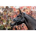 Kentucky Horsewear Найлонов юлар от агнешка кожа, сив