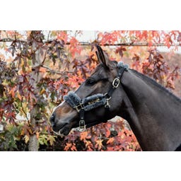 Kentucky Horsewear Найлонов юлар от агнешка кожа, сив