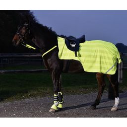 BUSSE REFLECTION Exercise Rug, Yellow