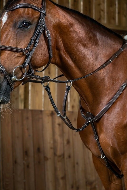 Dy'on Martingalgabel 
