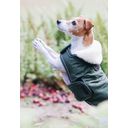 Kentucky Dogwear Waterproof Dog Coat 300g, Olive Green