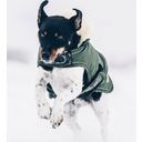 Kentucky Dogwear Waterproof Dog Coat 300g, Olive Green